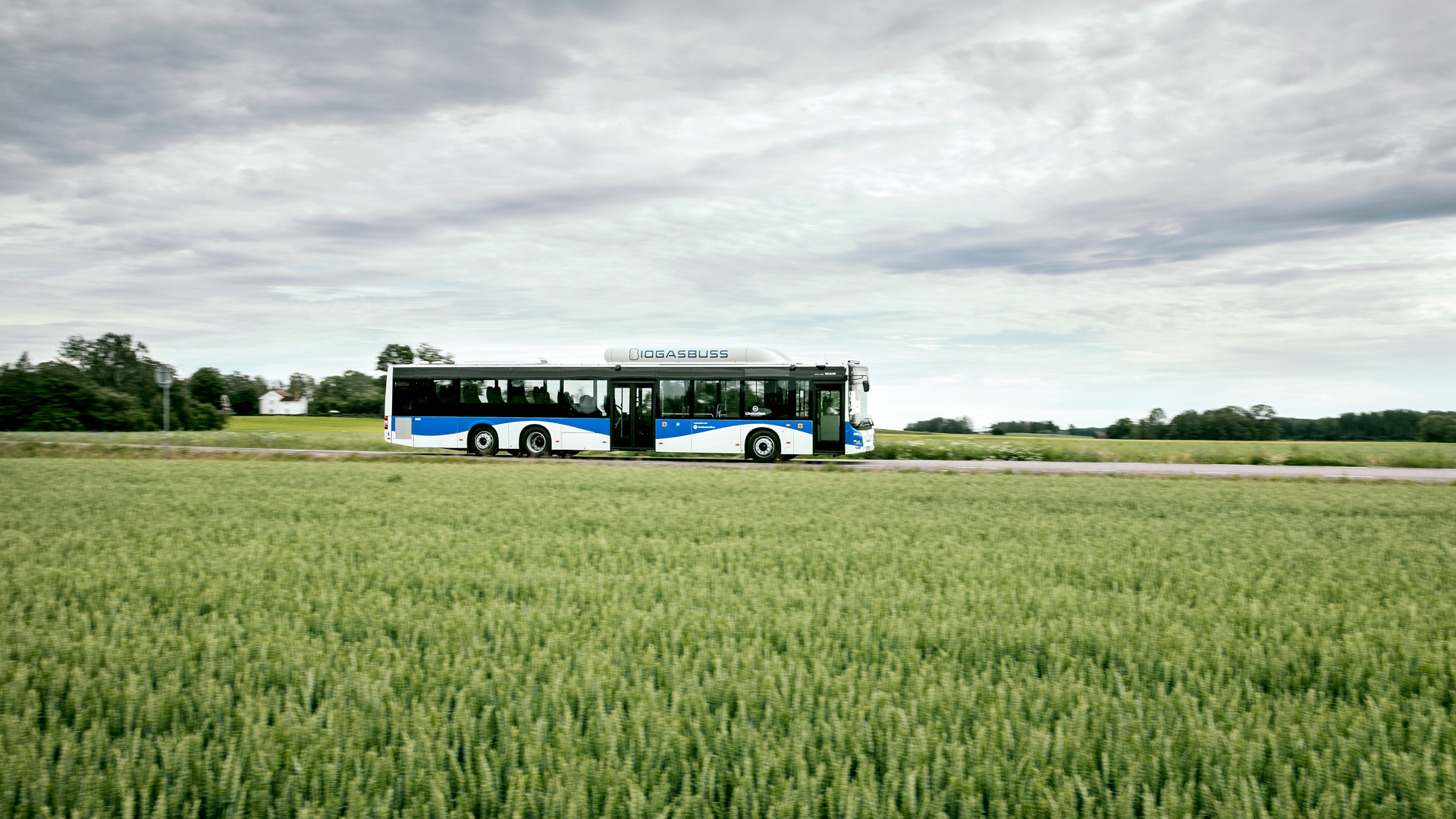Hellre små projekt som syns i vardagen än snabbussar!