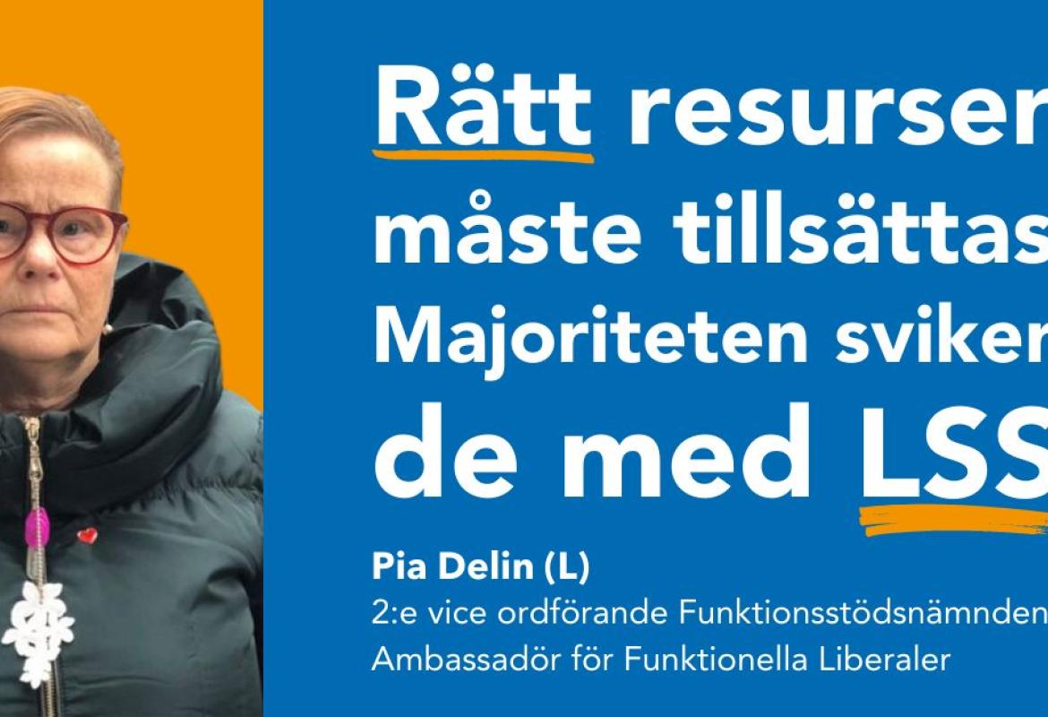 Pia Delin Delin Liberalerna Örebro kommun 2:e vice ordförande Funktionsstödsnämnden